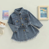 Everley denim dress