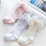 Lace ribbon socks