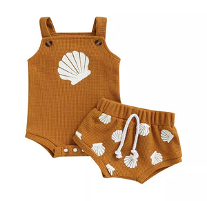 Shells set