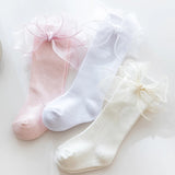 Lace ribbon socks