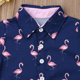Flamingo set